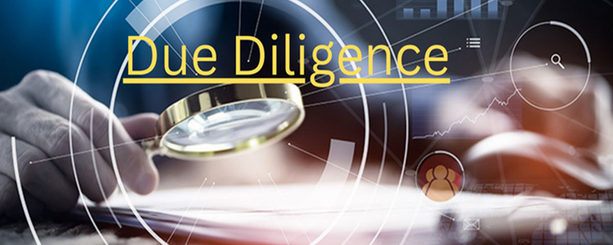 Due Diligence of Company