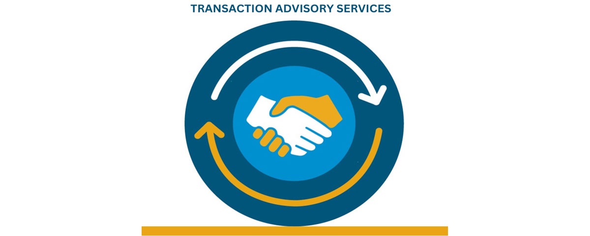 Transaction Advisory